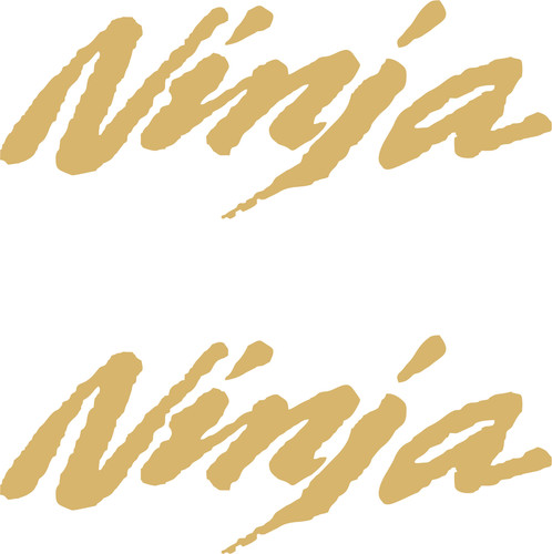 Kawasaki ninja - 2, x