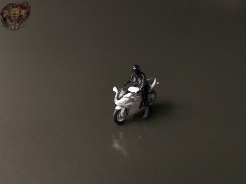 Kawasaki ninja 300 - 1/87,